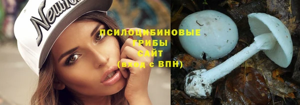 амф Краснослободск