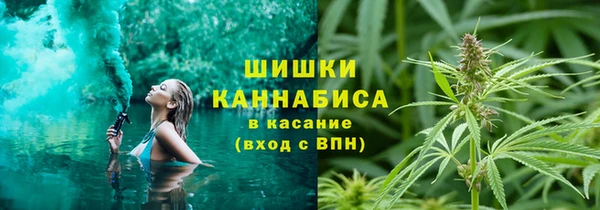 амф Краснослободск