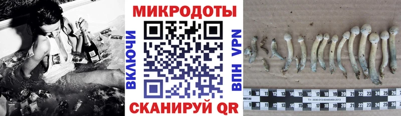 Купить закладки  Зея  Галлюциногенные грибы GOLDEN TEACHER 