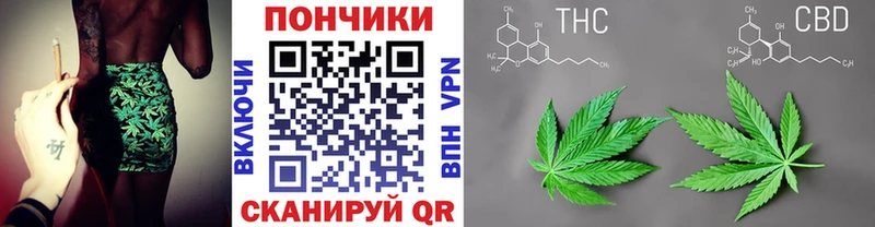 Бошки марихуана индика  Купить  Зея 